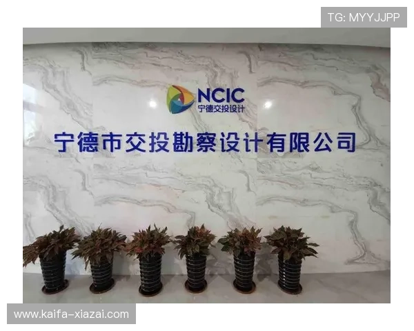 深度解析k8凯发中国官网的客户服务及支持渠道